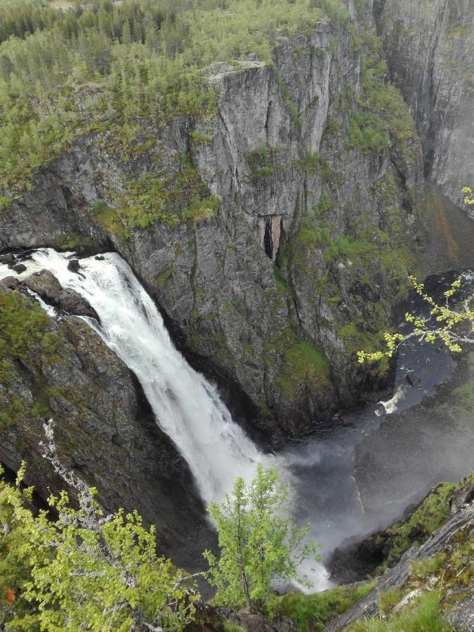 Liseth Pensjonat Og Hyttetun Эйдфьорд Экстерьер фото