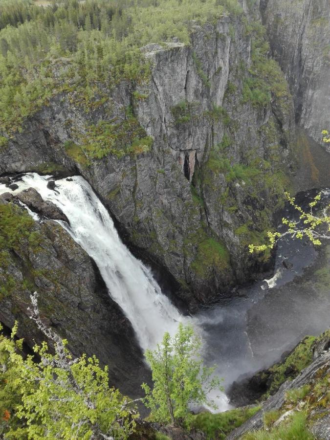 Отель Liseth Pensjonat Og Hyttetun Эйдфьорд Экстерьер фото